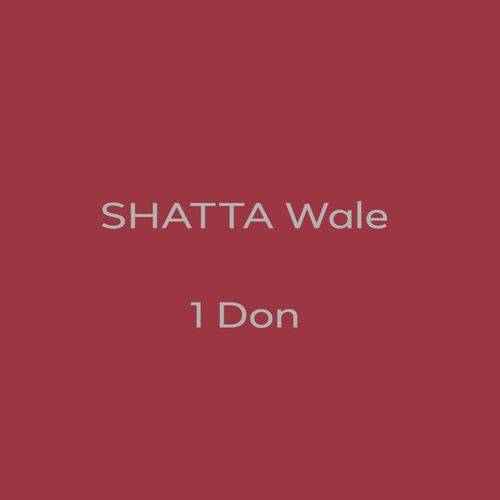 Shatta Wale - 1 Don  Lyrics