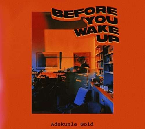 Adekunle Gold - Before You Wake Up  Lyrics