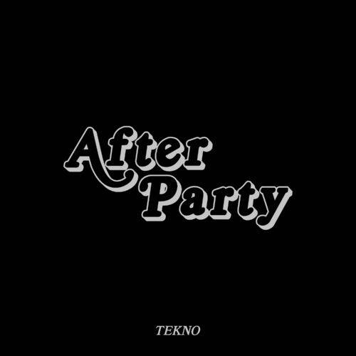 Tekno - After Party  Lyrics