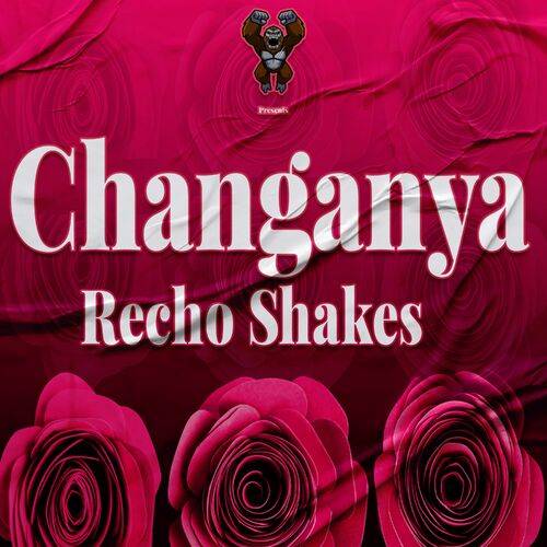 Recho Shakes - Changanya  Lyrics