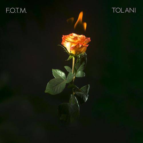 Tolani - Fire On The Mountain  Lyrics