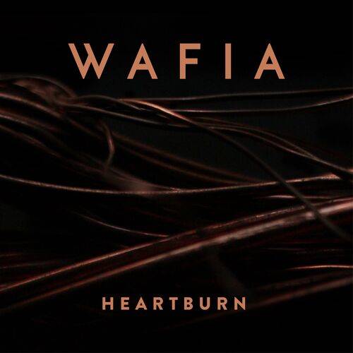 Wafia - Heartburn  Lyrics