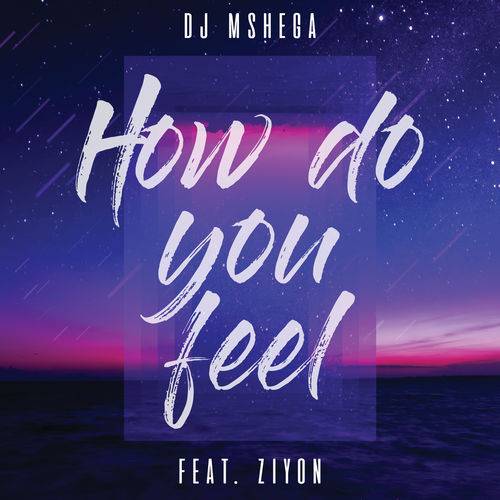 DJ Mshega - How Do You Feel (Radio Edit)  Lyrics