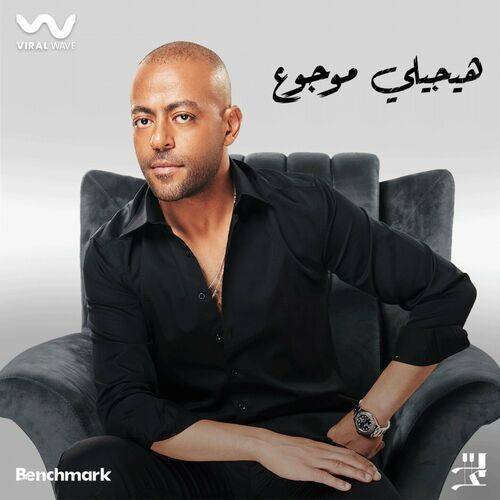 Tamer Ashour - هيجيلي موجوع  Lyrics