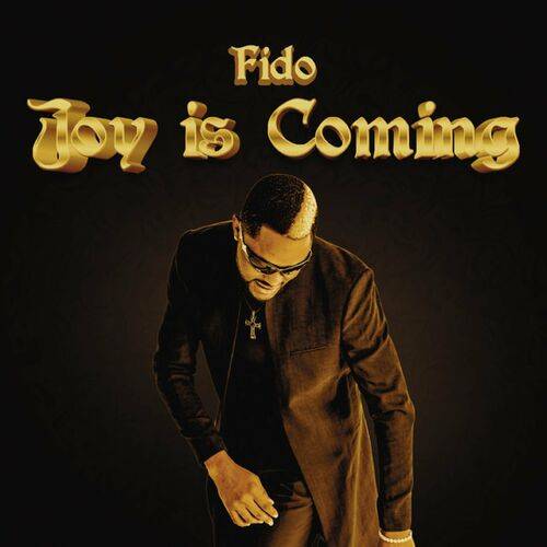 Fido - Joy Is Coming  Lyrics