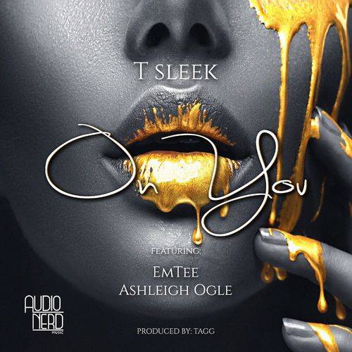 T Sleek - On You  Lyrics