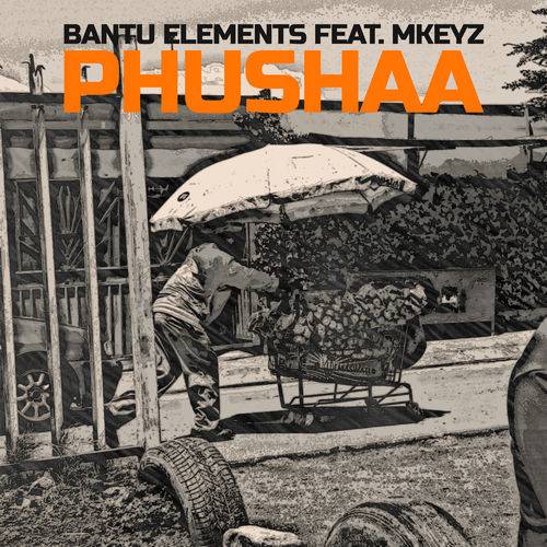 Bantu Elements - Pushaa  Lyrics