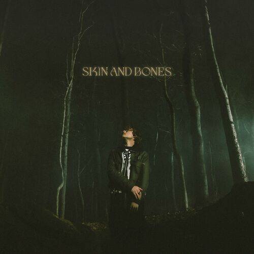 David Kushner - Skin and Bones  Lyrics