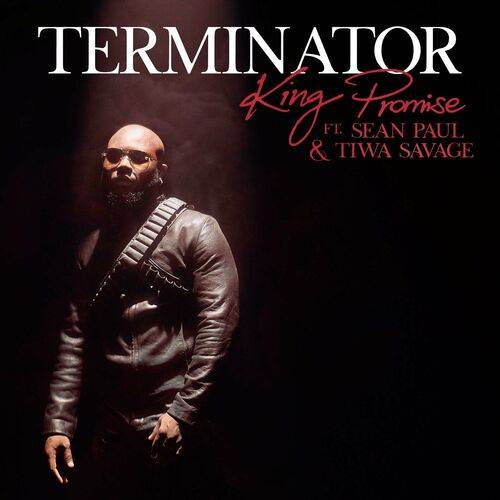 King Promise - Terminator (Remix)  Lyrics