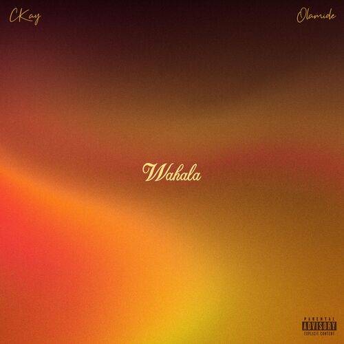 Ckay - Wahala (feat. Olamide)  Lyrics