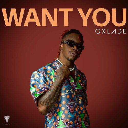 Oxlade - Want You  Lyrics